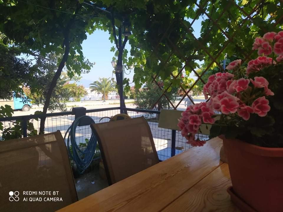 Seaside Deluxe Apartment Skála Kallirákhis Exterior foto